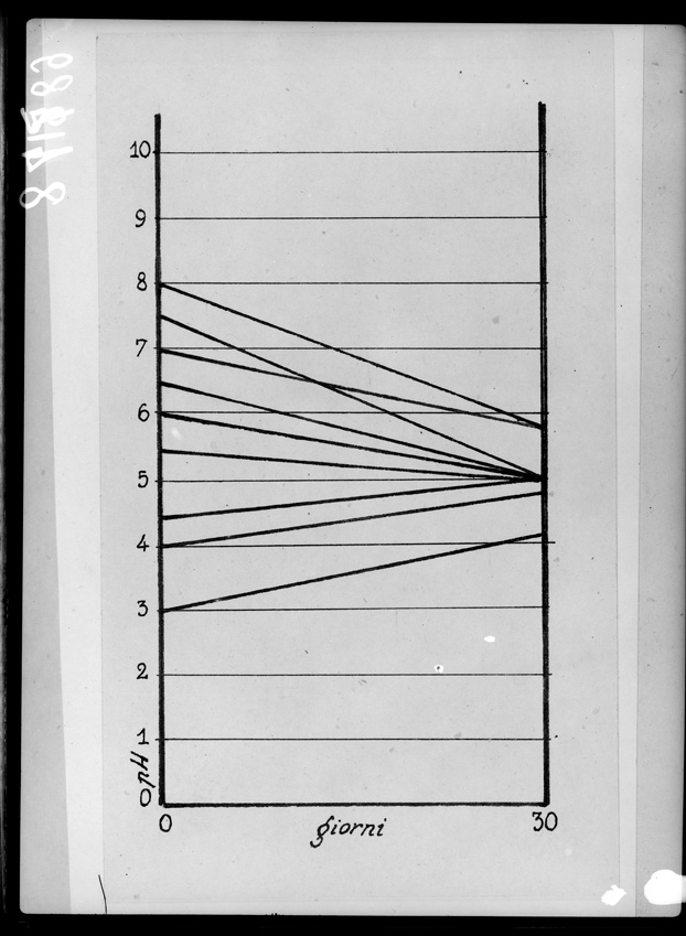 Roma, ICPAL, Laboratorio di microbiologia. Grafici
ist_0842
Keywords: Ricerca e diagnostica