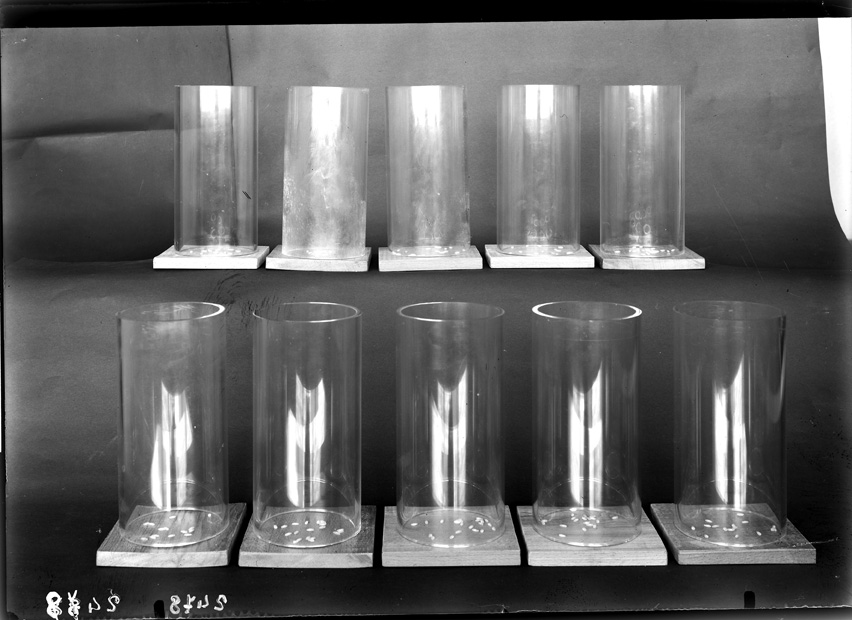 Roma, ICPAL, Laboratorio di microbiologia. Ricerca scientifica
ist_2478
Keywords: Ricerca e diagnostica