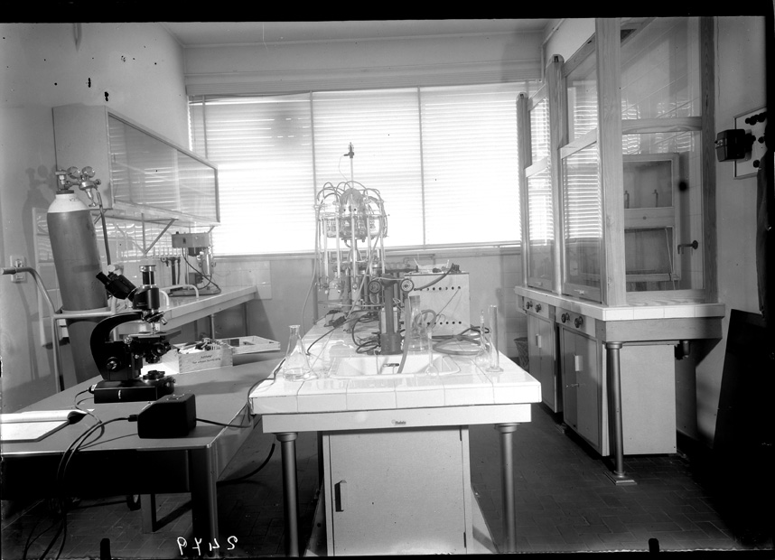 Roma, ICPAL, Laboratorio di biochimica
ist_2479
Keywords: Laboratori