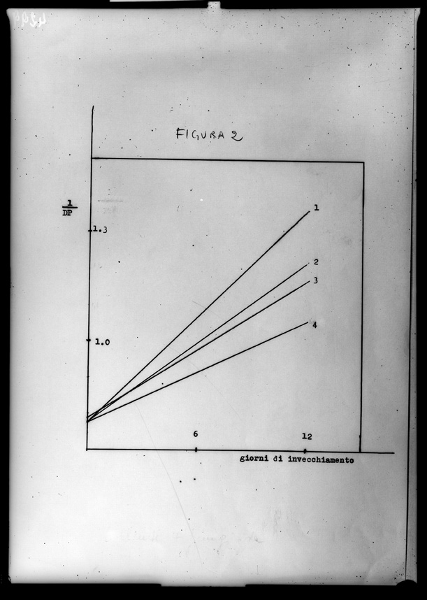 Roma, ICPAL, Laboratorio di chimica. Esperimenti
ist_4299
Keywords: Ricerca e diagnostica