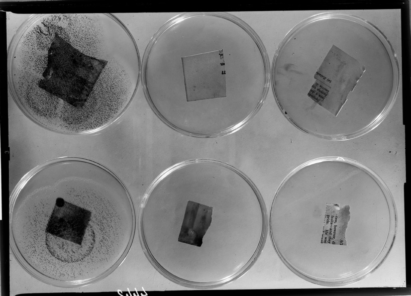 Roma, ICPAL, Laboratorio di microbiologia. Ricerca scientifica
ist_4442
Keywords: Ricerca e diagnostica