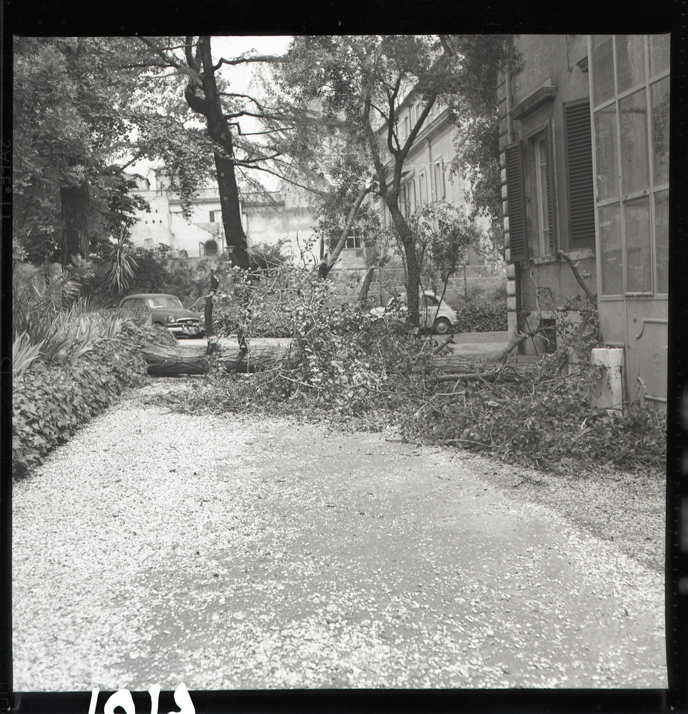 Roma, ICPAL, Giardino
ist_4101-01
