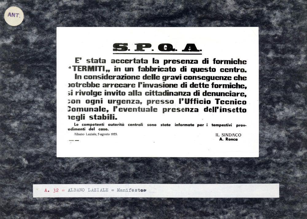 Albano Laziale, Manifesto del 5 agosto 1955 su un'invasione termitica
ant_00032
Keywords: Lazio (antitermitica)