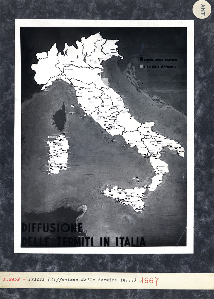 Diffusione delle termiti in Italia
ant_02459
Keywords: Studi-ricerche-articoli (antitermitica), ANT.02459, ANT.02459a