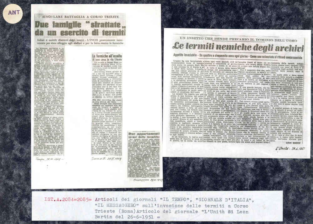 Articolo di Leon Bertin “Le termiti nemiche degli archivi”, “l'Unità” - 28/06/1951
ant_ex-ist_02085
Keywords: Studi-ricerche-articoli (antitermitica),ANT.EX-IST.02084,ANT.EX-IST.02085