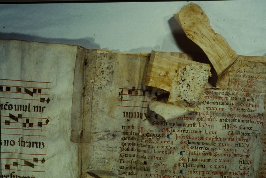 Matera, Biblioteca arcivescovile, Corale 1
icpal_05890
Keywords: BArc Matera,840.1/1981,840/1981