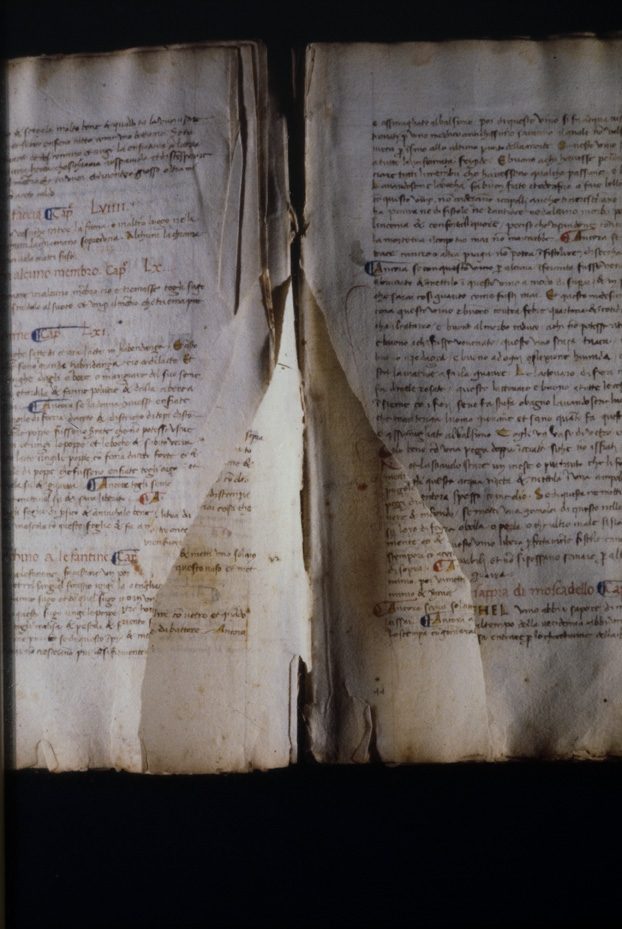 Parma, Biblioteca Palatina, Mss. Misti C 40
icpal_09893
Keywords: Palatina Parma,867/1981