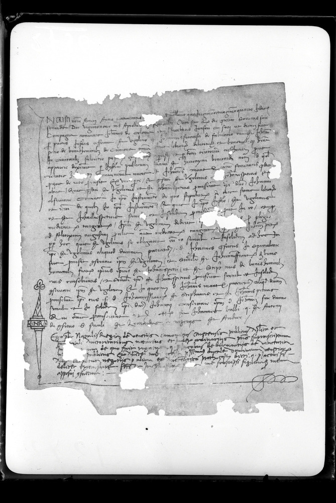 Documento d'archivio su pergamena, 1484. Collezione privata
doc_02736
