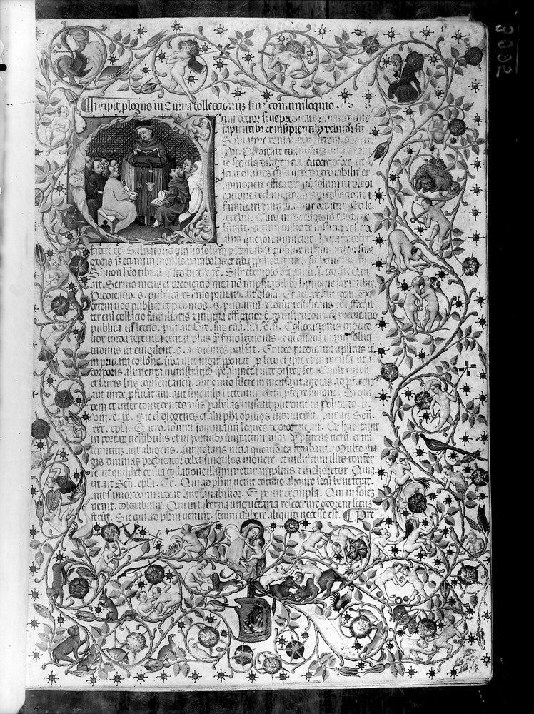 Palermo, Biblioteca Centrale della Regione siciliana Alberto Bombace, Ms. XIII.F.15
doc_03005
Keywords: Palermo B Centrale Ms. XIII.F.15, Decorazioni zoomorfe, Decorazioni antropomorfe, Palermo B Centrale