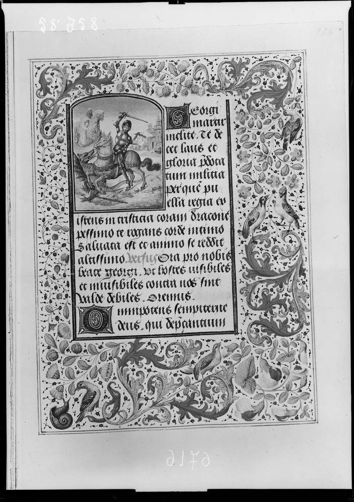 Vienna, National Bibliothek, Cod. Vindob. 1857
doc_06716
Keywords: Vienna National Bibliothek Cod. Vindob. 1857, Decorazioni zoomorfe, Vienna National Bibliothek