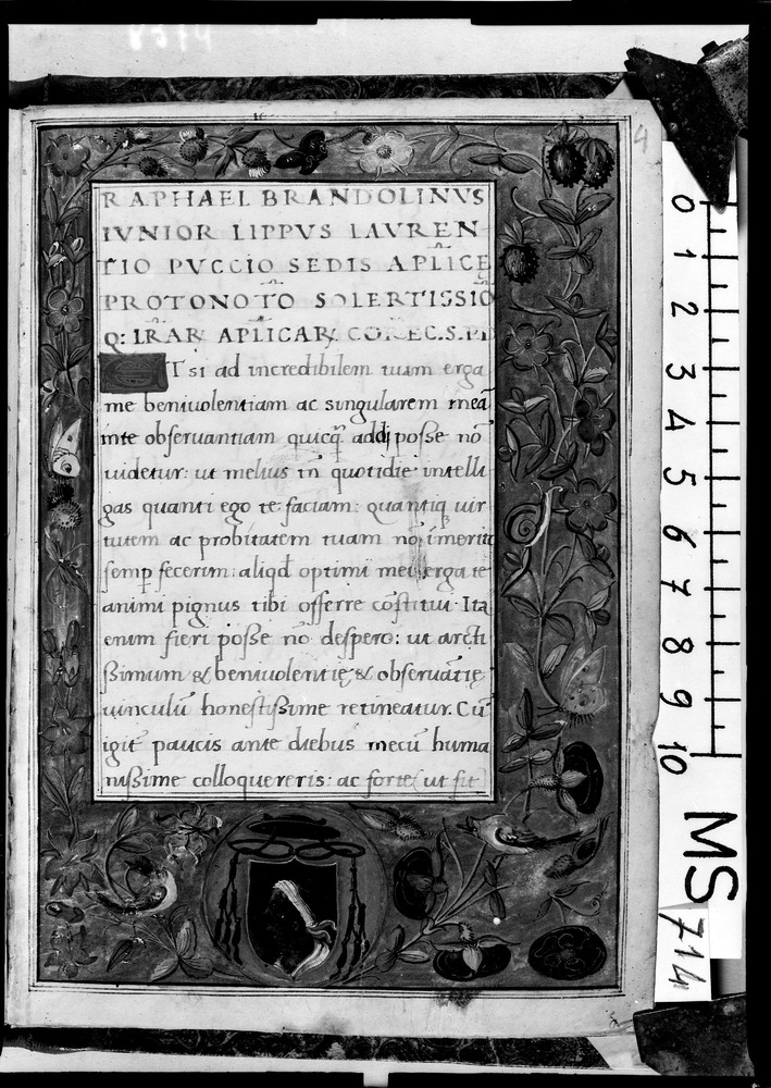 Roma, Biblioteca Angelica, Ms. 714
doc_08374
Keywords: Angelica Ms. 714, Stemmi, Angelica