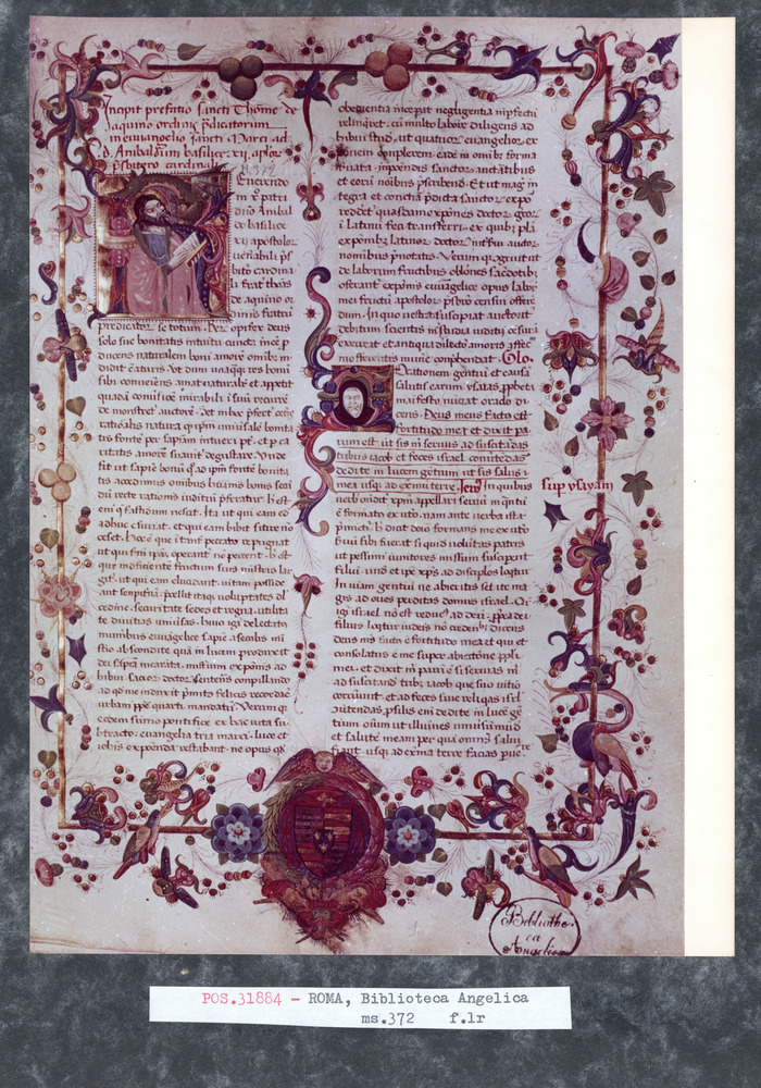 Roma, Biblioteca Angelica, Ms. 372
pos_31884
Keywords: Angelica Ms. 372, Stemmi, Angelica