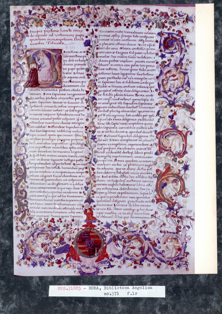 Roma, Biblioteca Angelica, Ms. 371
pos_31885
Keywords: Angelica Ms. 371, Stemmi, Angelica