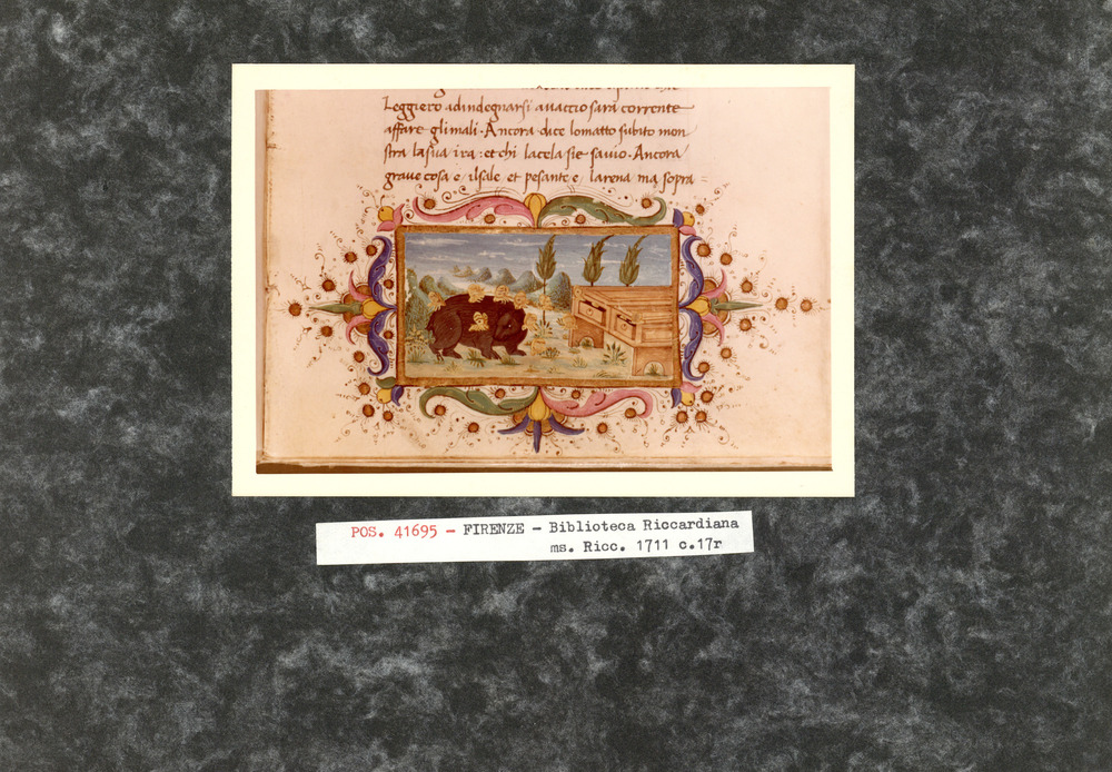 Firenze, Biblioteca Riccardiana, Ms. Ricc. 1711
pos_41695
Keywords: Riccardiana Ms. 1711, Riccardiana