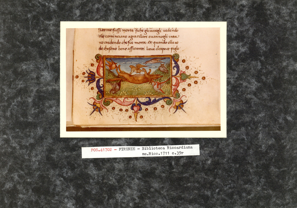 Firenze, Biblioteca Riccardiana, Ms. Ricc. 1711
pos_41702
Keywords: Riccardiana Ms. 1711, Riccardiana