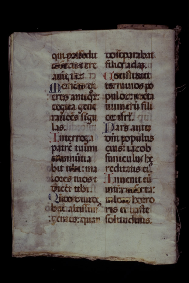 Antifonario. Capua, Biblioteca Arcivescovile
icpal_19151
Keywords: 1177/1987, 1177.x/1987, Capua B e A Arcivescovile Antifonario, Capua B e A Arcivescovile